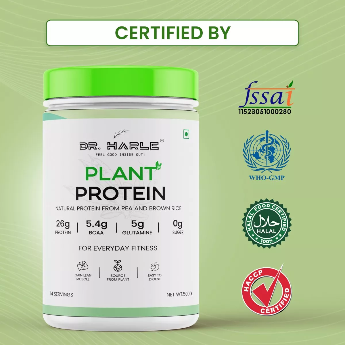 Plant Based Protein